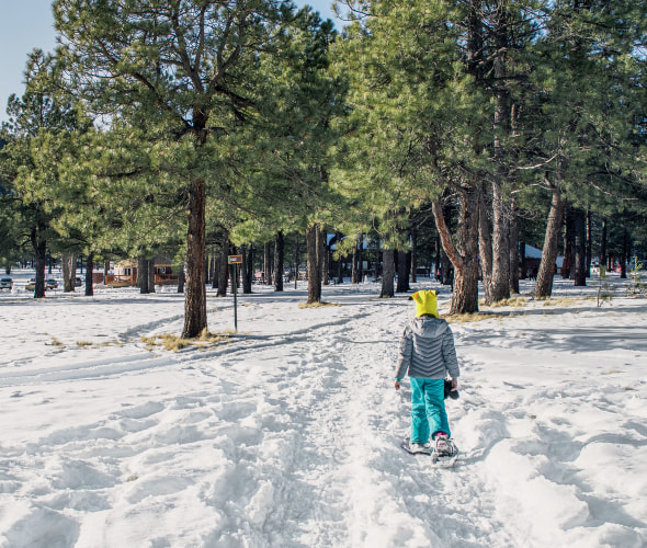 Snowshoe trail leads to heated yurts in Arizona’s Coconino National Forest