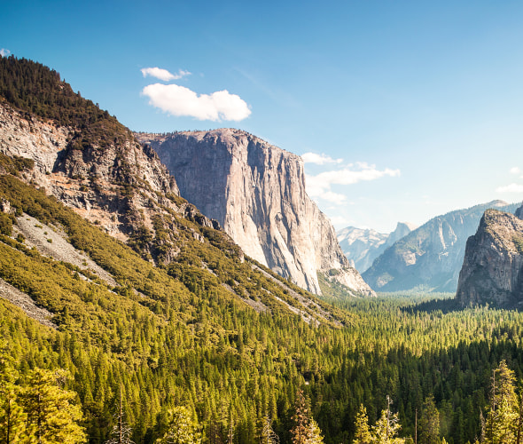 Top Things to do in Yosemite National Park