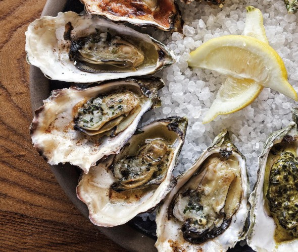 Best Oysters in the Bay Area and Beyond