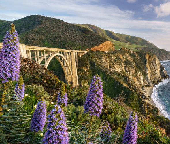 Must-See Big Sur Nature Spots and Views