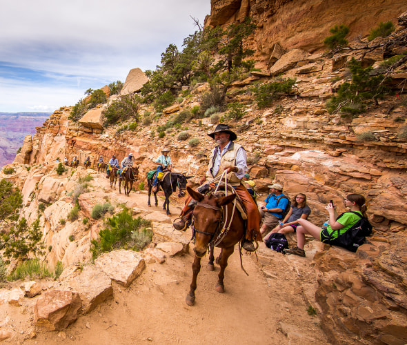 Top Things to Do at the Grand Canyon