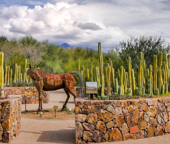 10 Unexpected Places to Visit Around Tucson