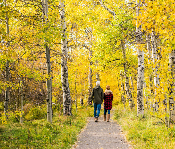 Best Places to See Fall Color in the West