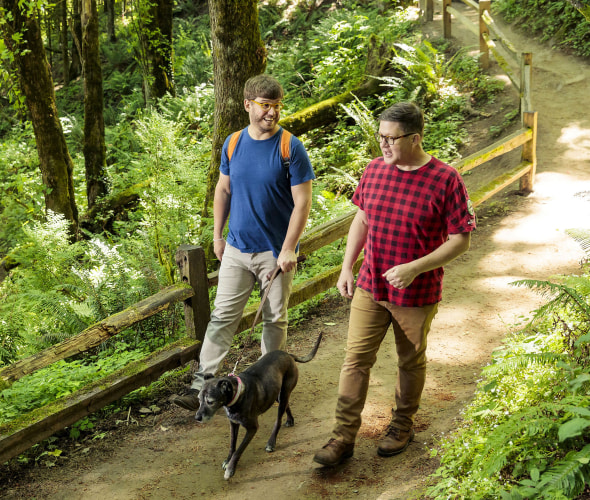 two men walk a dog on a trail in Forest Park in Portland, Oregon.