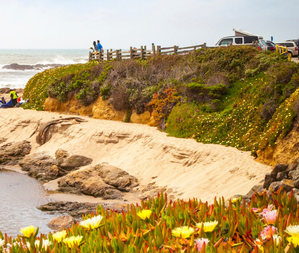 Top Things to Do in Pescadero, California