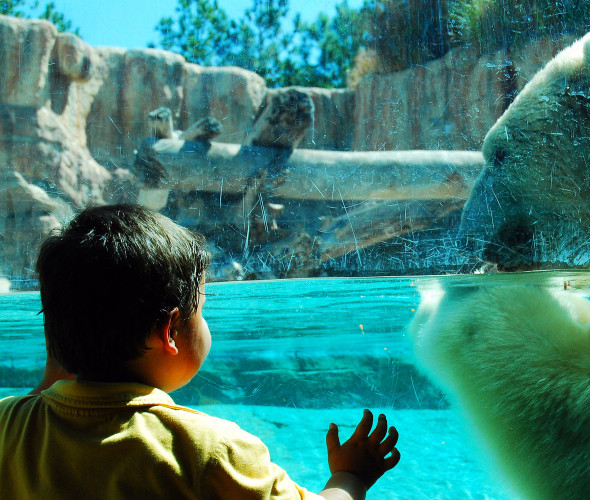 Reader's Favorite Animal Parks and Zoos