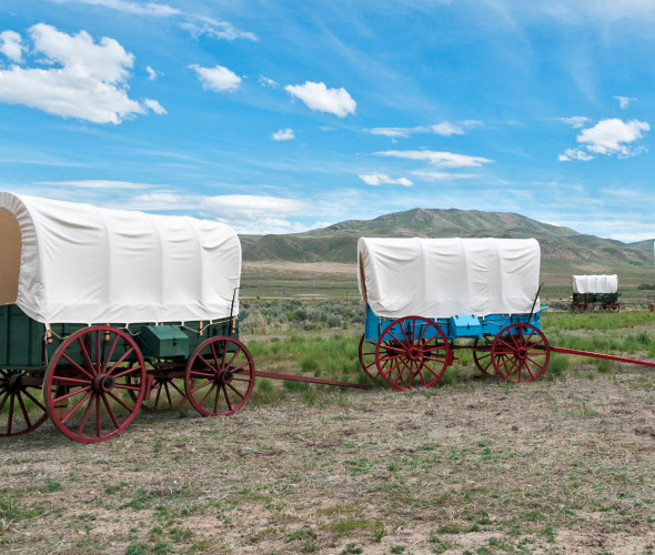 covered wagons lined up at California Trail Interpretive Center in Elko, Nevada.