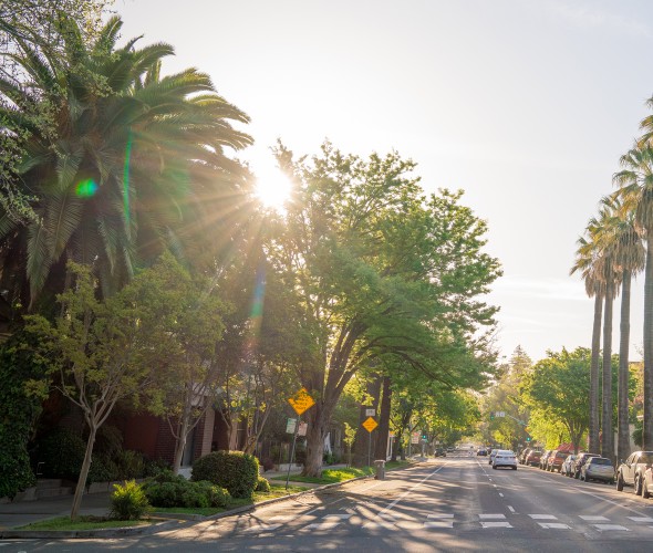 Beautiful tree-lined street with historic homes in Midtown Sacramento, image