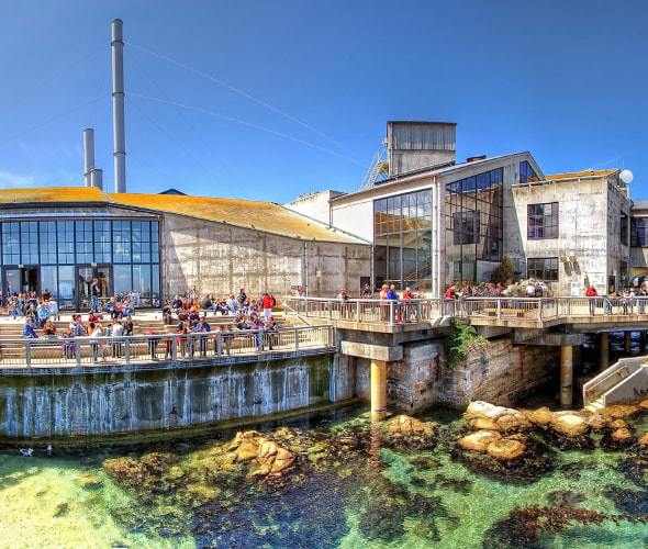 A view of the Monterey Bay Aquarium back deck along Monterey Bay.