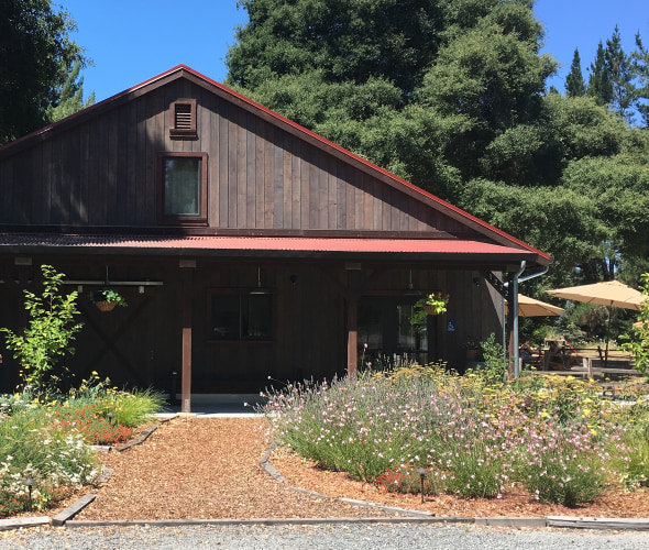 How to Spend a Gourmet Day in Sebastopol, CA
