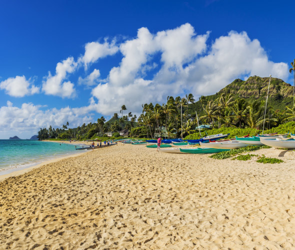 Hawaii's 5 Best Winter Beaches
