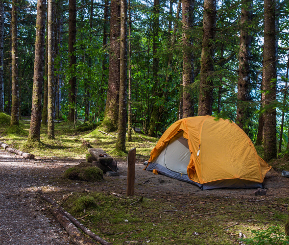 How to Pick a Campsite
