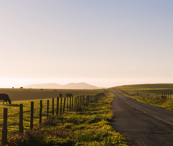 Things to Do in Point Reyes, California