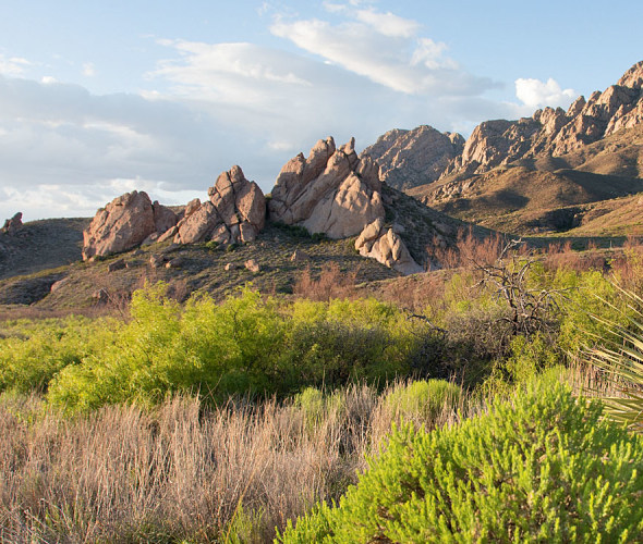 Things to Do in Las Cruces, New Mexico