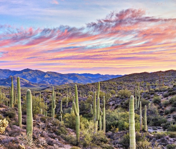 Places to Visit and Things to Do in Arizona