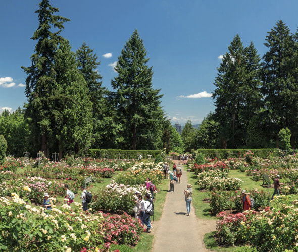 Guide to Washington Park in Portland