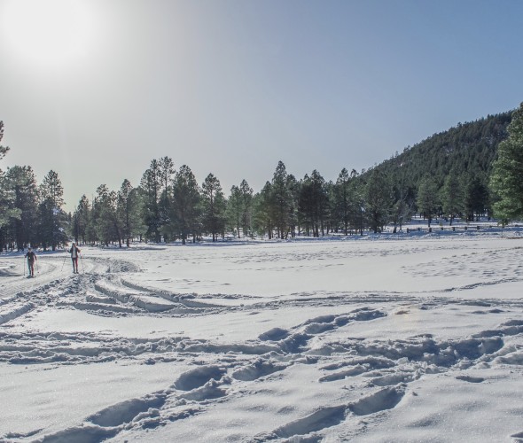 snowshoers leave tracks across white powder on a sunny day at Arizona Nordic Village in Flagstaff.