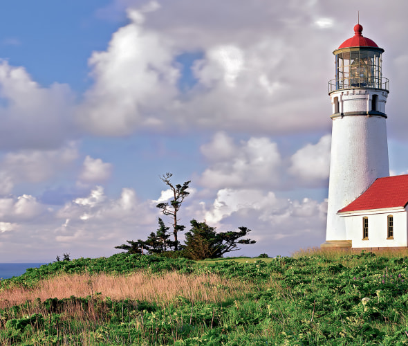 Cape Blanco lighthouse and wildflowers (lupine) with clouds in Port Orford, Oregon