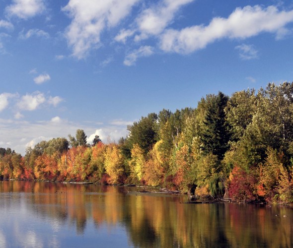 Favorite Spots to See Fall Foliage