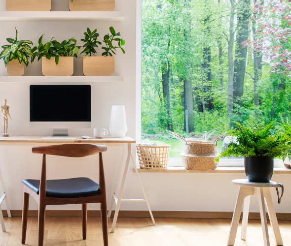 How to Improve Indoor Air Quality
