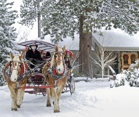 two horse team pull a carriage of sightseers on a snowy day at Black Butte Ranch in Sisters, Oregon