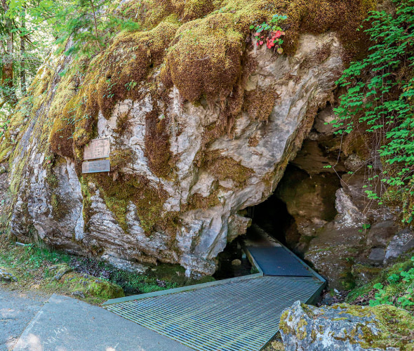 Entrance to the caves at Oregon Caves National Monument and Preserve.