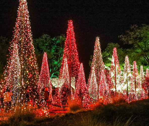 Christmas tree holiday light display at Redding Garden of Lights.