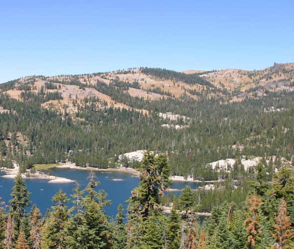 Bear Valley, California: A Low-Key Tahoe Alternative
