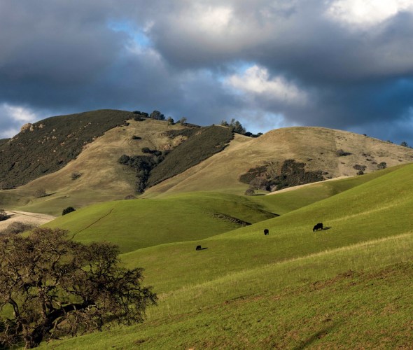 Mount Diablo and Danville: A Magic Winter or Spring Day Trip