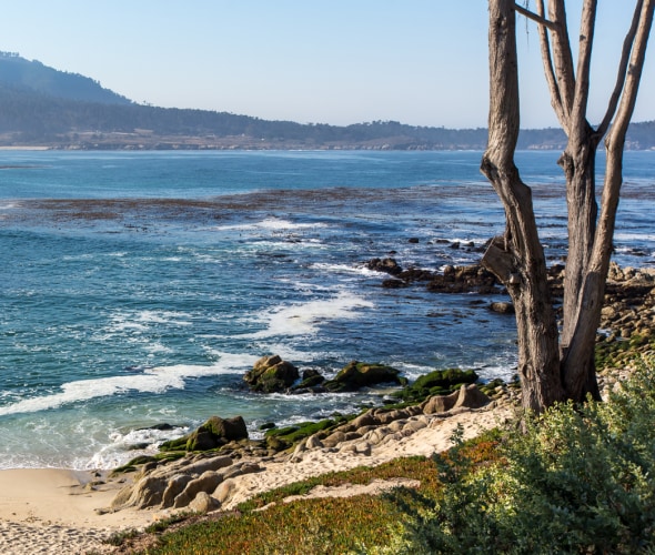 Escape to Beautiful Carmel-by-the-Sea, California