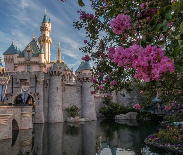 Disney's Sleeping Beauty Castle Secret