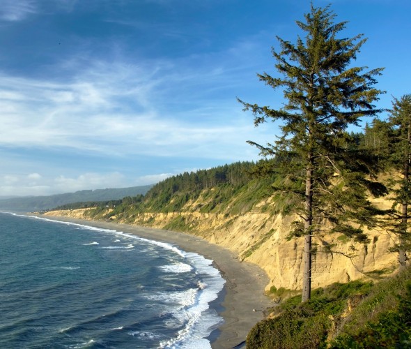 Things to do in California's Sue-meg State Park