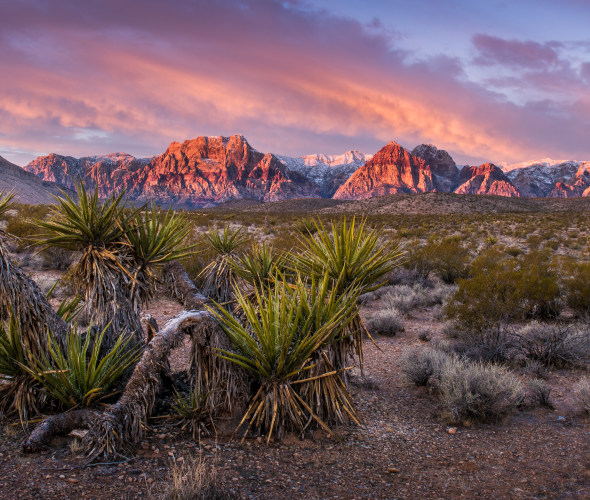 Sunrise lights up the rocks in Red Rock Canyon in Nevada on a winter morning.