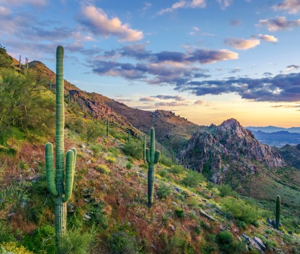 29+ Free Things to Do in Your Favorite Arizona Cities