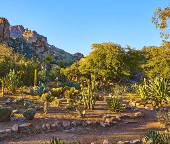 Spend a Weekend in 3 Arizona Mountain Towns