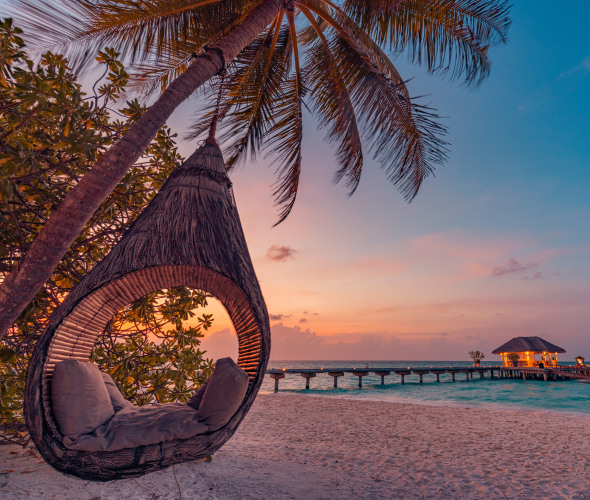 A seating pod hangs from a palm tree at a tropical beach resort at sunset.