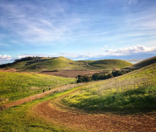 Best Scenic Hikes in the East Bay