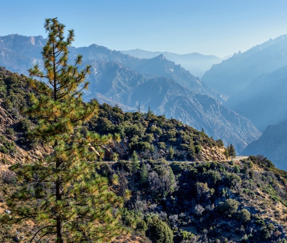 The view of Kings Canyon Scenic Byway in Sequoia National Forest, California.