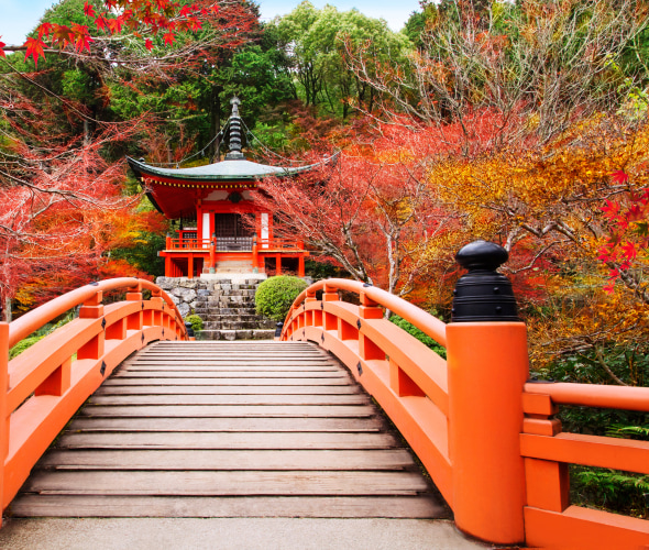 Kyoto Daigoji temple in Kyoto, Japan surrounded by fall color.