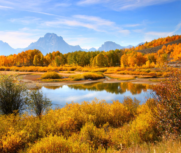 Autumn color reflects in Oxbow Bend in Grand Teton National Park.