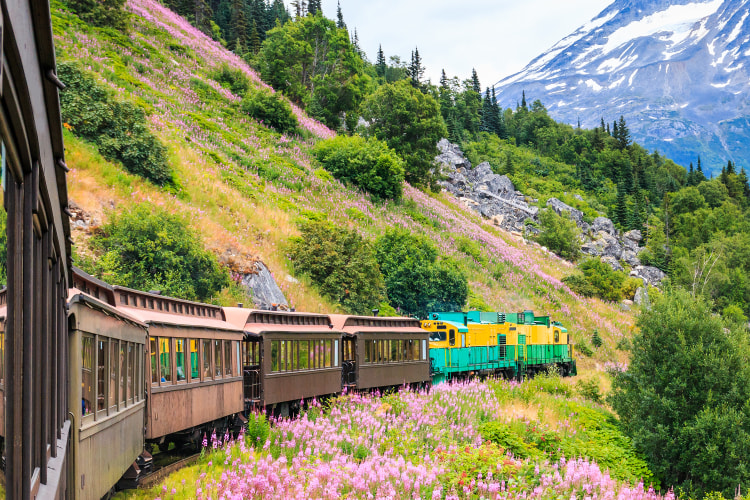 AAA Members ride a train through Alaska's wildflowers.