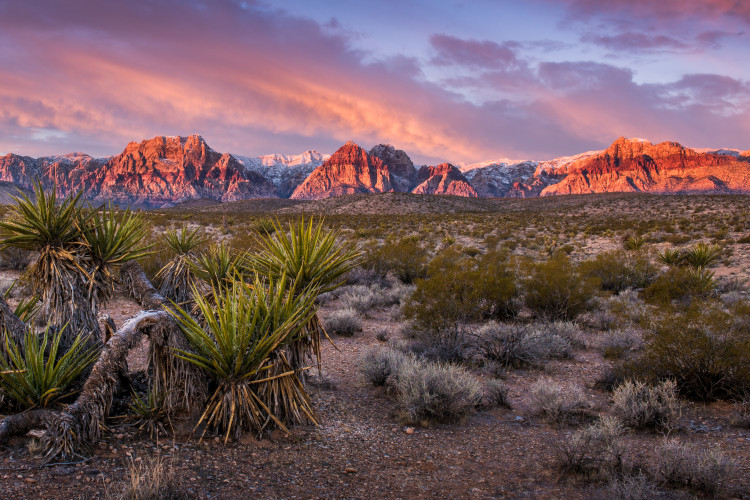 Sunrise lights up the rocks in Red Rock Canyon in Nevada on a winter morning.