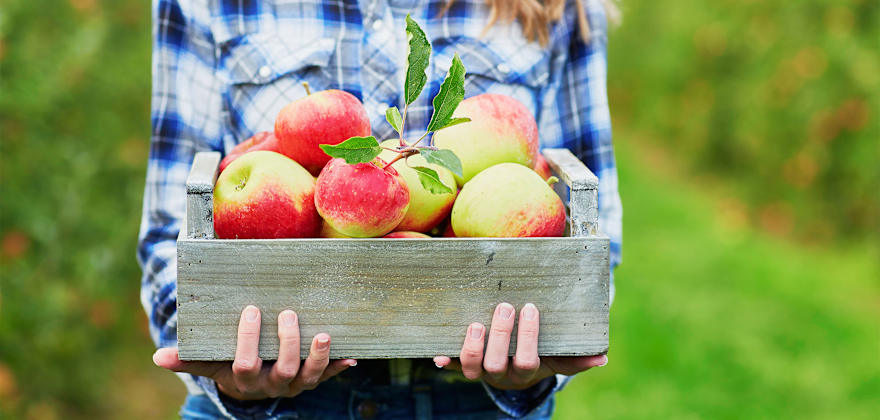 7 Ways to Experience Fall Fun in the West