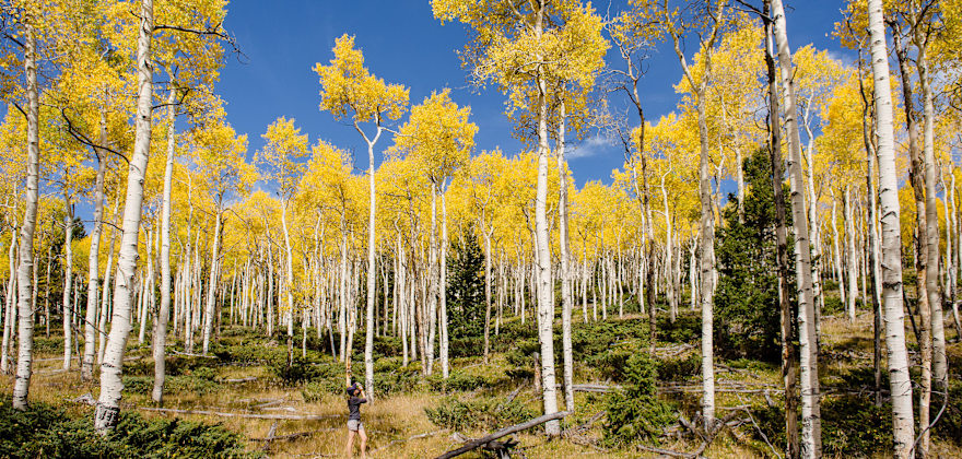 14 Best Fall Trips in the West