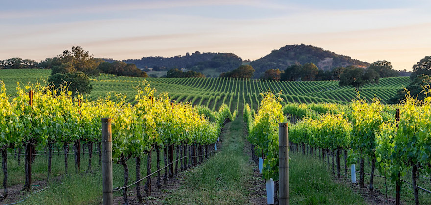 Everything You Need for a Fall Weekend in Healdsburg, CA