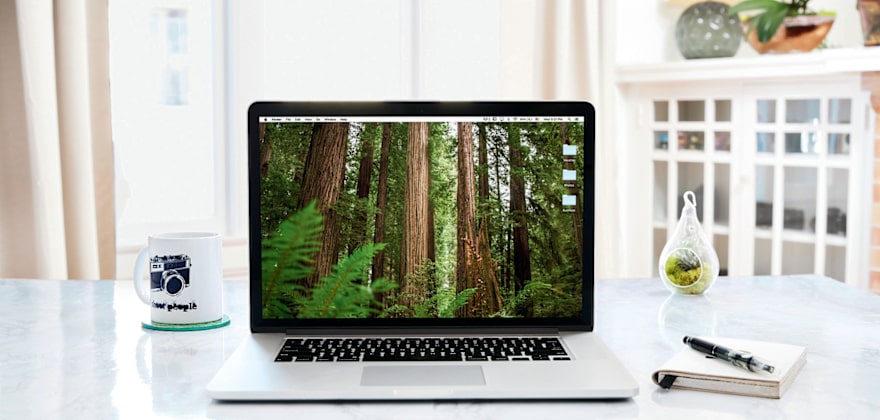 12 Ways to Organize Your Digital Life