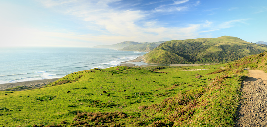 Escape to California&#x27;s Lost Coast