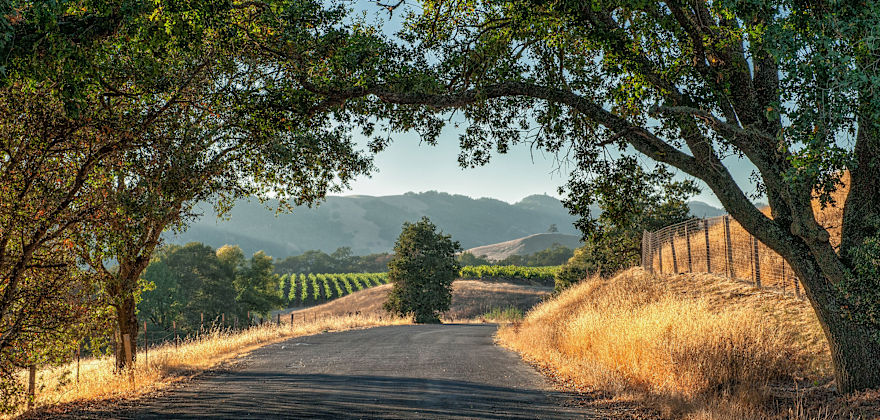 The Ultimate Guide to Sonoma County