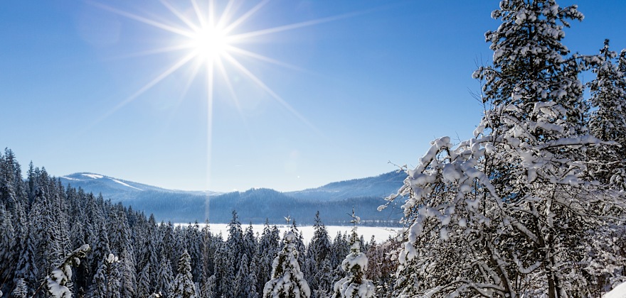 Beautiful view of the snow-covered forest opening to reveal a piece of Lake Coeur d' Alene on a sunny winter afternoon