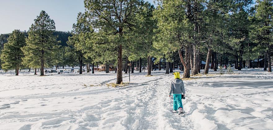 Snowshoe trail leads to heated yurts in Arizona’s Coconino National Forest